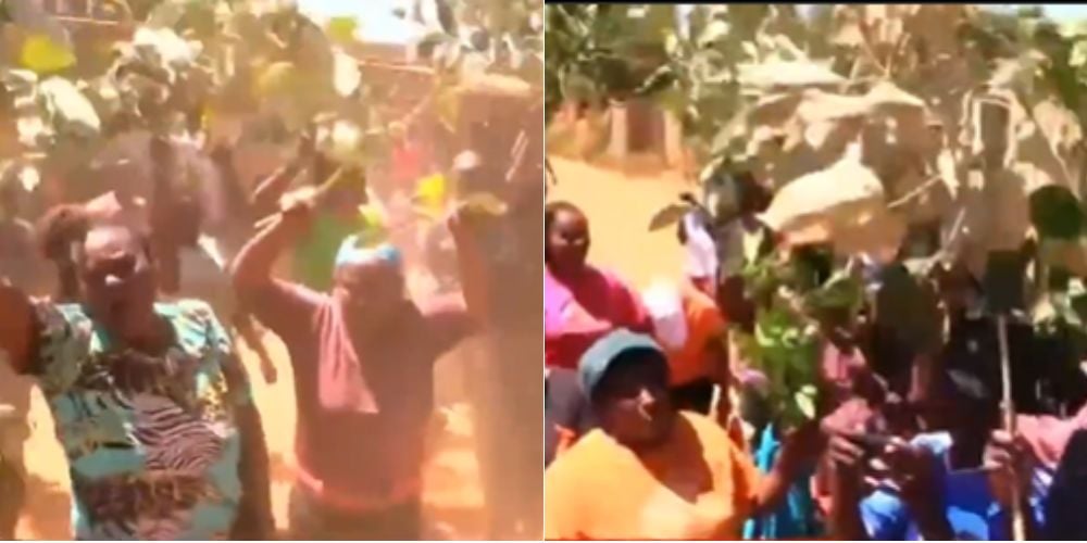 Collage of protests in Mwea.